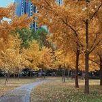 武进区相关精彩文章--宝武进博会签约13家供应商 强化全球铁矿供应链韧性 宝武进博会签约13家供应商 强化全球铁矿供应链韧性