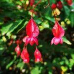 期貨櫥窗 | 鎳：多空資本勢均力敵，價格延續(xù)窄幅震蕩