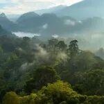 碳達(dá)峰碳中和的中國(guó)行動(dòng)白皮書(shū)｜碳達(dá)峰碳中和的中國(guó)行動(dòng)