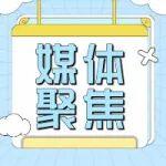 媒體開放日 | 看見建造的“智”與“安”！主流媒體聚焦安順路項目觀摩會