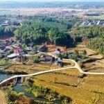 安徽省普通公路建設(shè)提前完成年度計(jì)劃任務(wù)