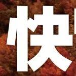 快，不止一点▷柳工起重机LTC500L6