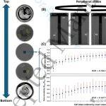 46圆柱从内到外 牛 比亚迪4680圆柱电池参数详解！