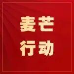 麥芒行動 | 以“麥芒”之銳破攻堅之局 為營銷筑牢供應(yīng)鏈基石