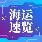 今日海運費速覽（2025-11-19）