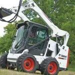 冬天里的一抹綠丨山貓園林屬具集錦