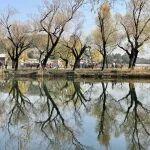 觀點(diǎn)共享 | 剛果（金）鈷配額新政落地，全球供應(yīng)格局重塑與價(jià)格新階段開啟