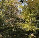 澳洲新通过环境法案对铁矿石行业的影响