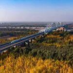 強(qiáng)化黨建引領(lǐng)，奮力實(shí)現(xiàn)鐵路全年目標(biāo)任務(wù)