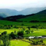 “鐵資源開發計劃”國內鐵礦資源開發工作座談會在京召開