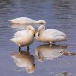 觀點共享 | 群核科技：從云設計工具到空間智能生態