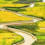 二手久保田小型挖機相關精彩文章--小型農田水利工程建設管理成效、問題與對策 小型農田水利工程建設管理成效、問題與對策