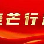 麥芒行動丨華柴公司發展計劃處黨支部扎實推進公司“十五五”規劃編制