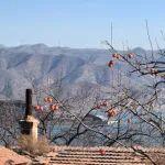 觀點(diǎn)共享 | 英國(guó)關(guān)鍵礦產(chǎn)戰(zhàn)略淺析