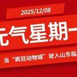 石嘴山疯狂铲车相关精彩文章--【元气星期一】工程奇遇记:当“疯狂动物城”驶入山东临工 【元气星期一】工程奇遇记:当“疯狂动物城”驶入山东临工