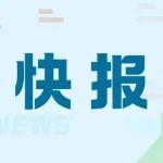 11月主要冶金產(chǎn)品進(jìn)出口快報(bào)
