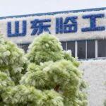 新机山东临工80多少钱相关精彩文章--绒化警告!山东临工冬日「软装」上新 绒化警告!山东临工冬日「软装」上新