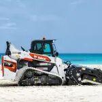 在最美的沙滩遇见最帅的山猫