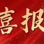 榮譽(yù)時刻 | 臨工集團(tuán)獲評“機(jī)械工業(yè)大型重點(diǎn)骨干企業(yè)”！