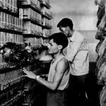 我是一名信號工，工齡43年｜火車·悅讀