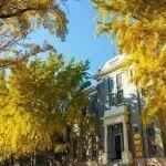 請為清華大學(xué)能源與動力工程系年度亮點(diǎn)成果投票！