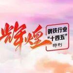 輝煌“十四五”丨強根鑄魂 以高質(zhì)量黨建引領(lǐng)鋼鐵行業(yè)高質(zhì)量發(fā)展