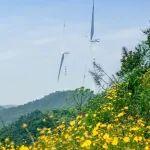 五大機構ESG評級全線攀升，三一重能獲國際國內雙重肯定