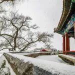 觀點共享 | 2025年鎢價高位狂飆，2026年需求仍顯剛性