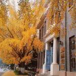 2025年能動(dòng)系本科生工作總結(jié)