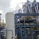 “捕碳制蛋白、礦化變建材”→河鋼實現(xiàn)CCUS從“碳減排”到“價值創(chuàng)造”歷史性跨越