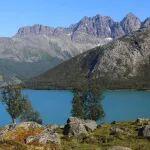 鐵礦石月報丨1月鐵礦石延續(xù)累庫趨勢，進口鐵礦石價格寬幅震蕩為主