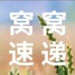 窩窩速遞｜大沃榮膺“金旗獎(jiǎng)”彰顯企業(yè)擔(dān)當(dāng)，沃爾沃卡車多獎(jiǎng)項(xiàng)領(lǐng)跑跨境運(yùn)輸，綠色創(chuàng)新賦能沃家多領(lǐng)域共贏發(fā)展