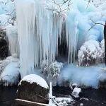 觀點共享 | 挪威推遲深海采礦意欲為何