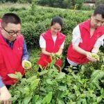 永州：路連民誼 瑤聚同心