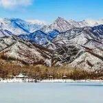 觀點共享 | 從日本數(shù)據(jù)看日本2025年鎢工業(yè)發(fā)展得怎么樣？