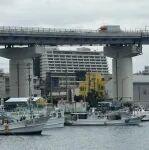 2025年日本鐵礦石進口、鋼鐵產(chǎn)量、海外鐵礦投資份額及年度項目