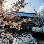 觀點(diǎn)共享 | 印度尼西亞礦業(yè)治理邁向精細(xì)管控