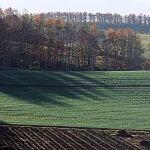 央行發(fā)布多項(xiàng)金融政策