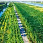 品牌引領(lǐng) 多維創(chuàng)新——徐州農(nóng)村公路這十年宣傳