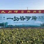 員工心聲—— 一名法務(wù)專員的威猛初心之路