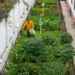 已退休6年的鐵路信號工，每天依舊去車間“報到”｜火車·悅讀