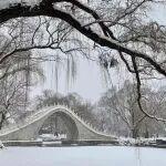 觀點共享 | 鈦材在戰(zhàn)略新興產(chǎn)業(yè)領域的應用前景及對產(chǎn)業(yè)鏈的深度影響分析