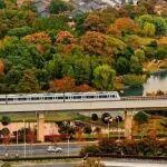 2025年12月城市軌道交通運營數(shù)據(jù)速報