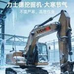 大寒至，冬意濃