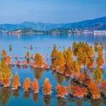 一張“碳票”換來生態(tài)紅利