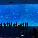 世界鋼鐵協(xié)會：2025年全球粗鋼產(chǎn)量