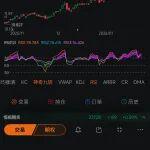 淡水河谷礦區(qū)水溢出事故