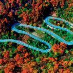 南陽市：創(chuàng)新舉措 提升效能 示范引領(lǐng)