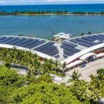 向綠而行！低碳“黑科技”繪就綠色未來