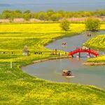 怎樣理解開(kāi)展生態(tài)保護(hù)修復(fù)成效評(píng)估